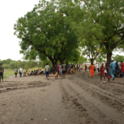 3608012026_8165a899ca_o